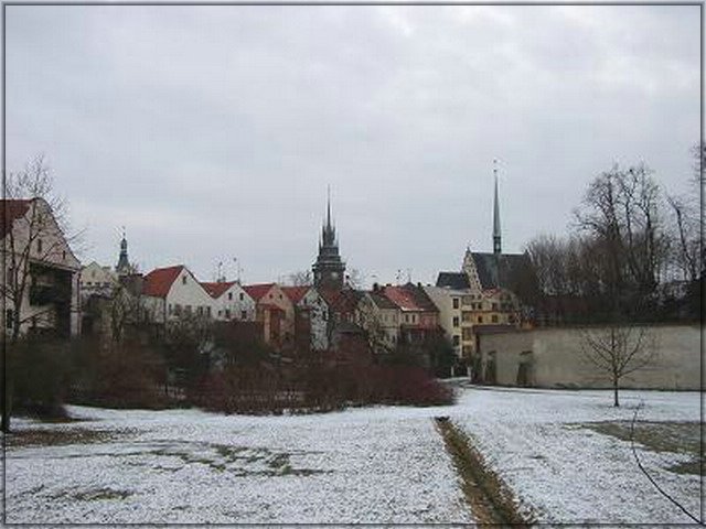 67.jpg