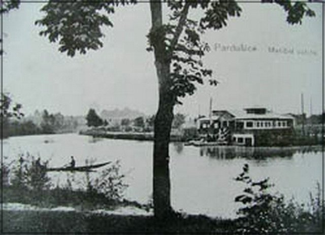 78.jpg