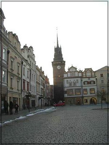91.jpg