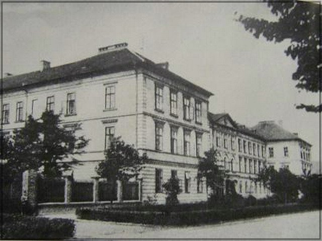 96.jpg