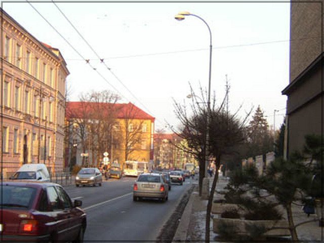 99.jpg