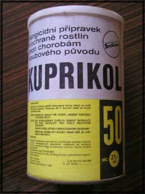 normal_PLZd8c36_16.jpg